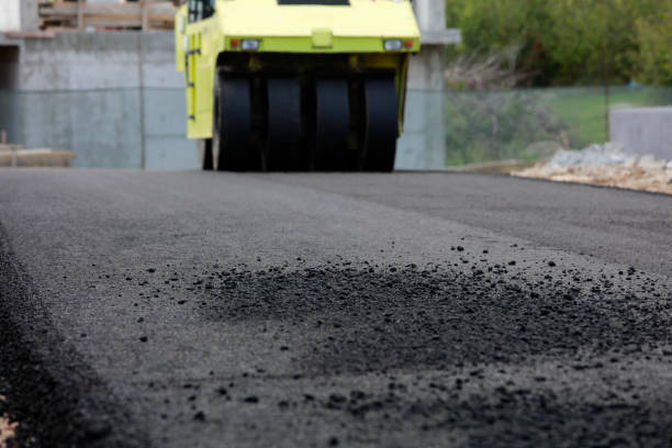 Best Residential Paver Driveway  in Manitowoc, WI
